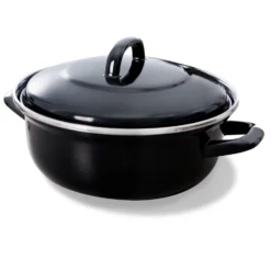 BK Fortalit Braadpan Ø22 Cm